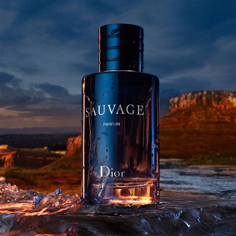 dior sauvage parfums|Dior Sauvage cheapest price.